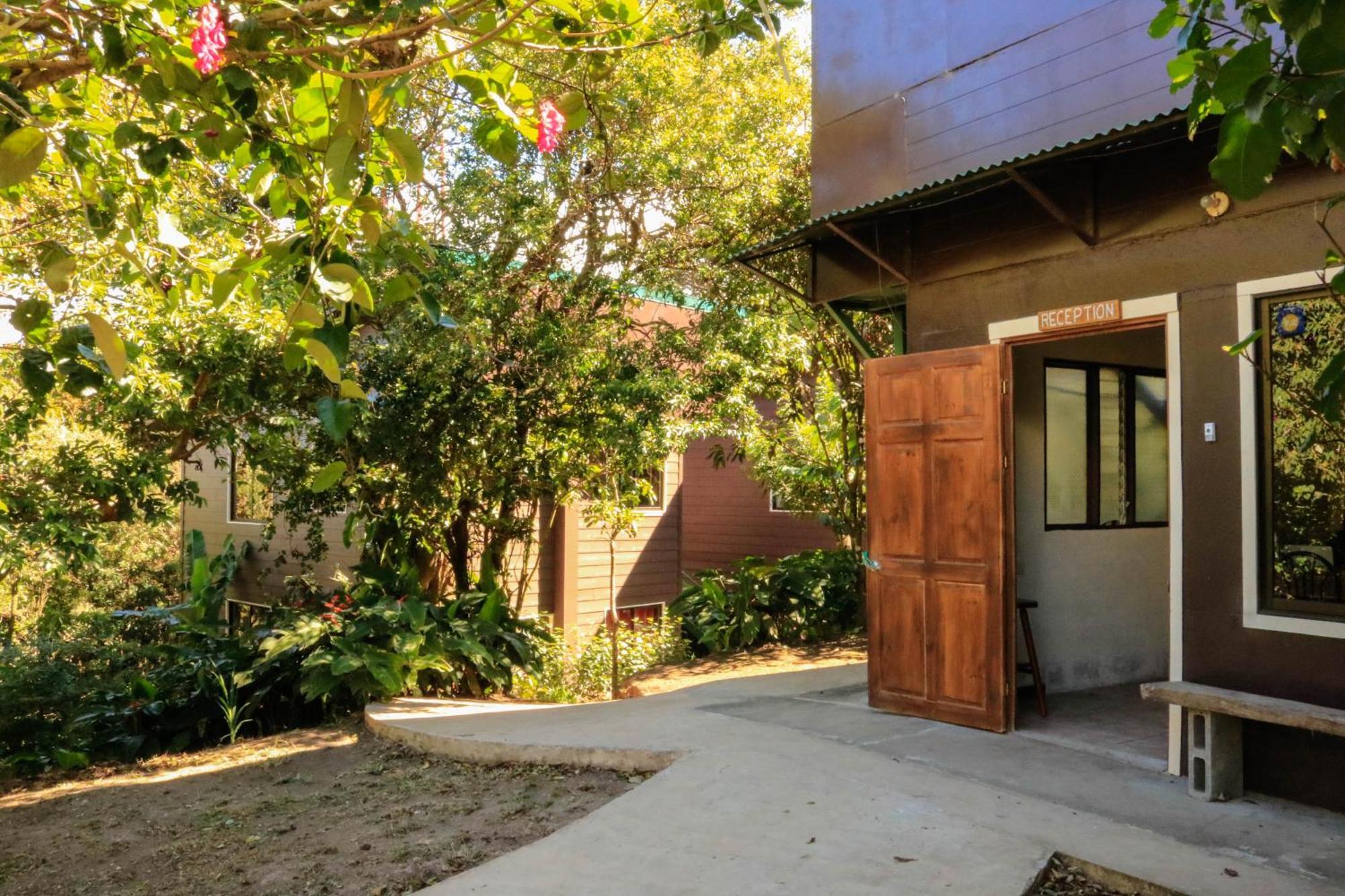 Moon Forest Apartments Monteverde Exterior photo