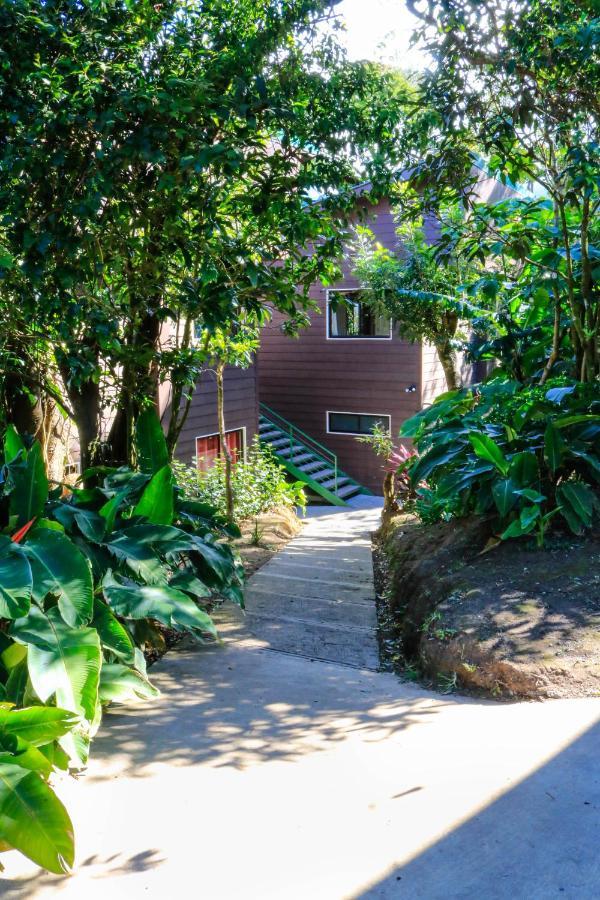 Moon Forest Apartments Monteverde Exterior photo