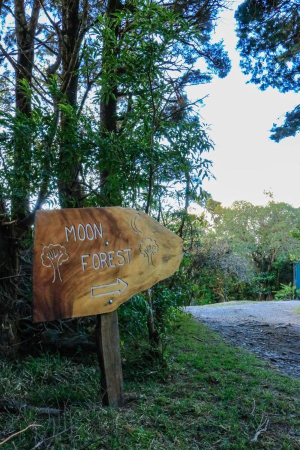 Moon Forest Apartments Monteverde Exterior photo